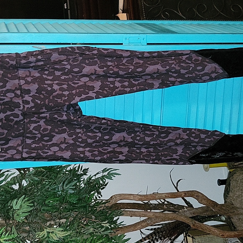 Warrior workout